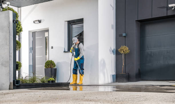 Best Driveway Pressure Washing  in Lemmon Valley, NV